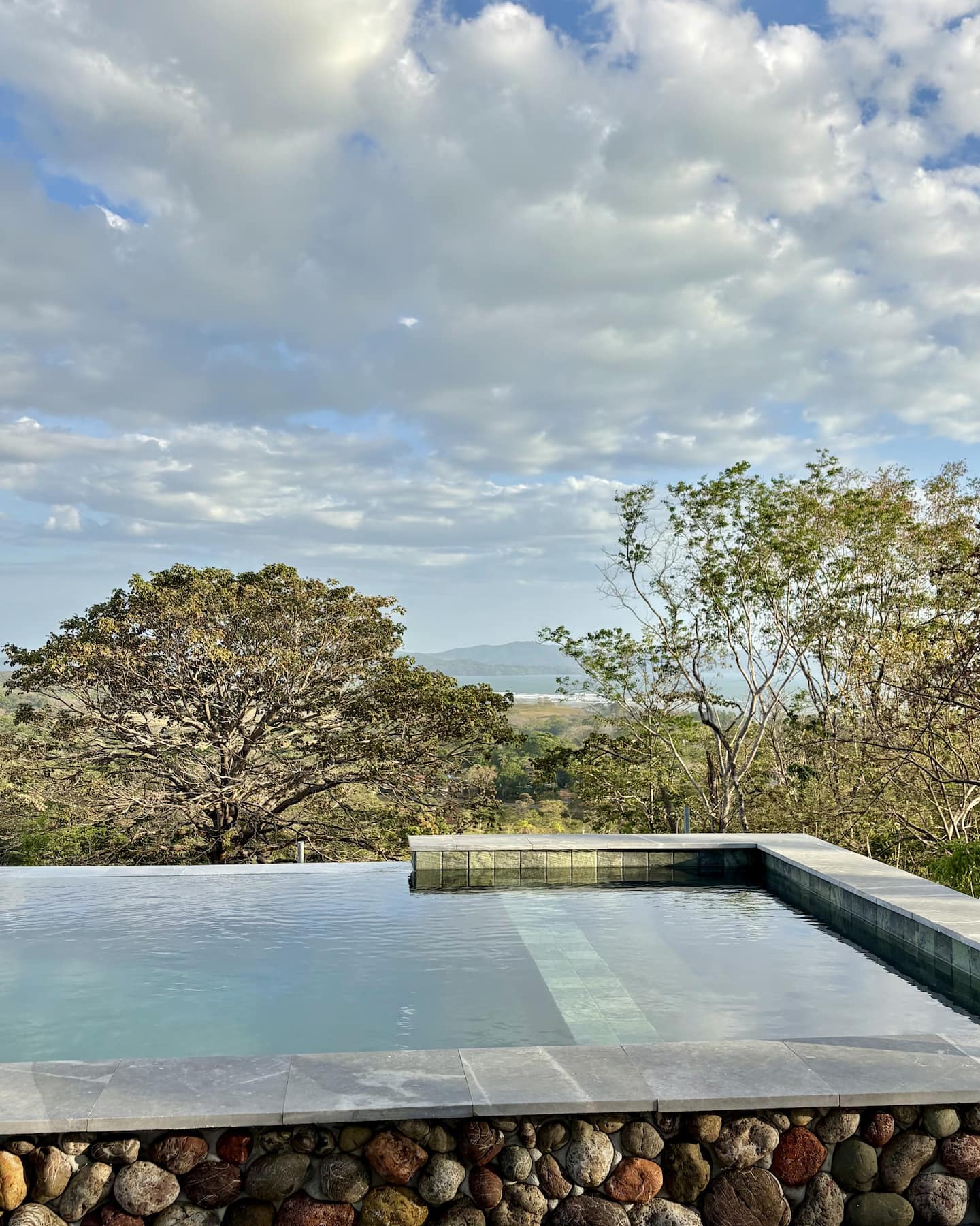 Pool and landscape